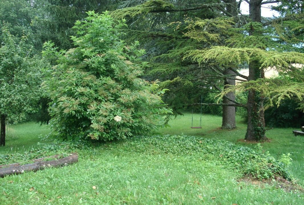 Photo of Outdoor in Contrevoz