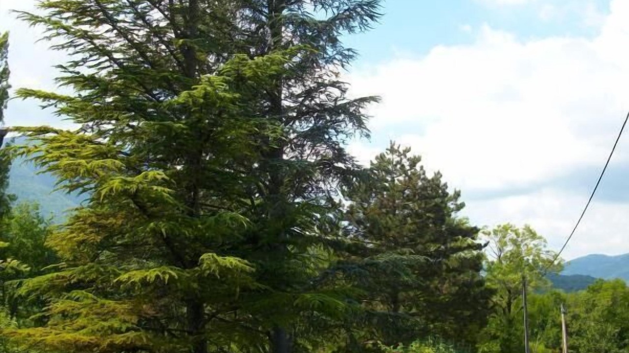 Photo of Outdoor in Contrevoz