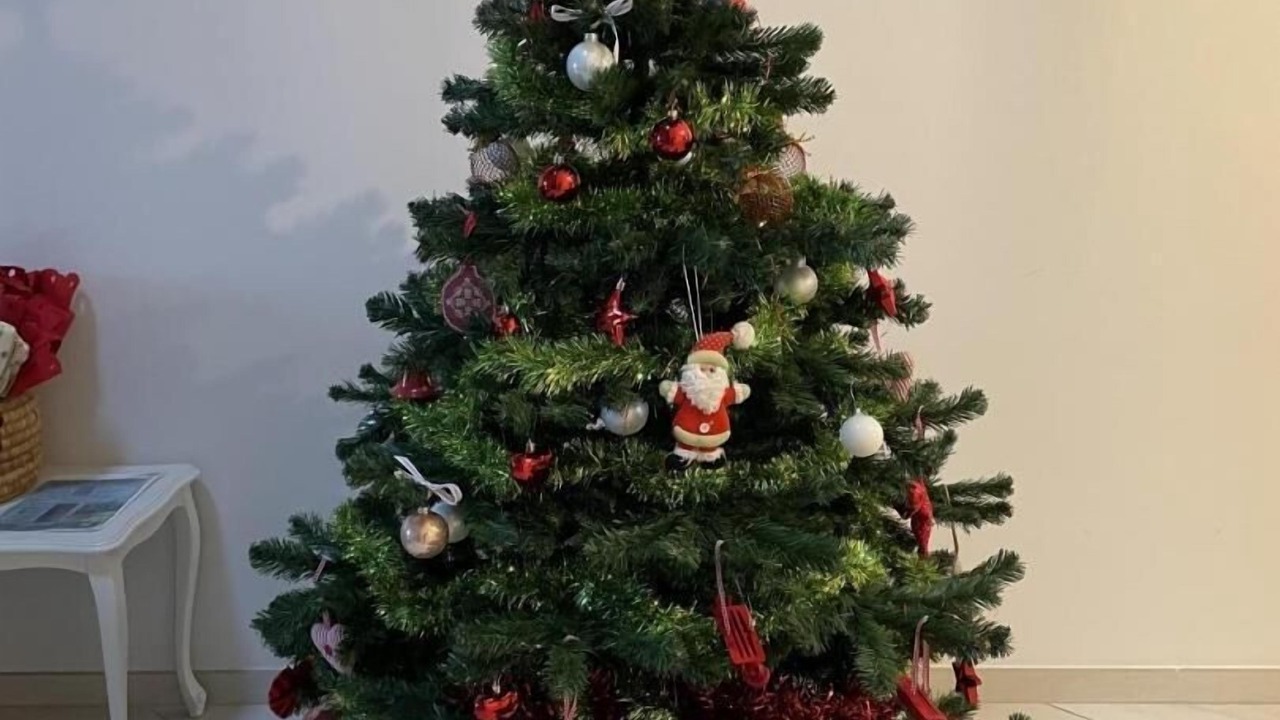 Photo of Others in Vieu-d'Izenave