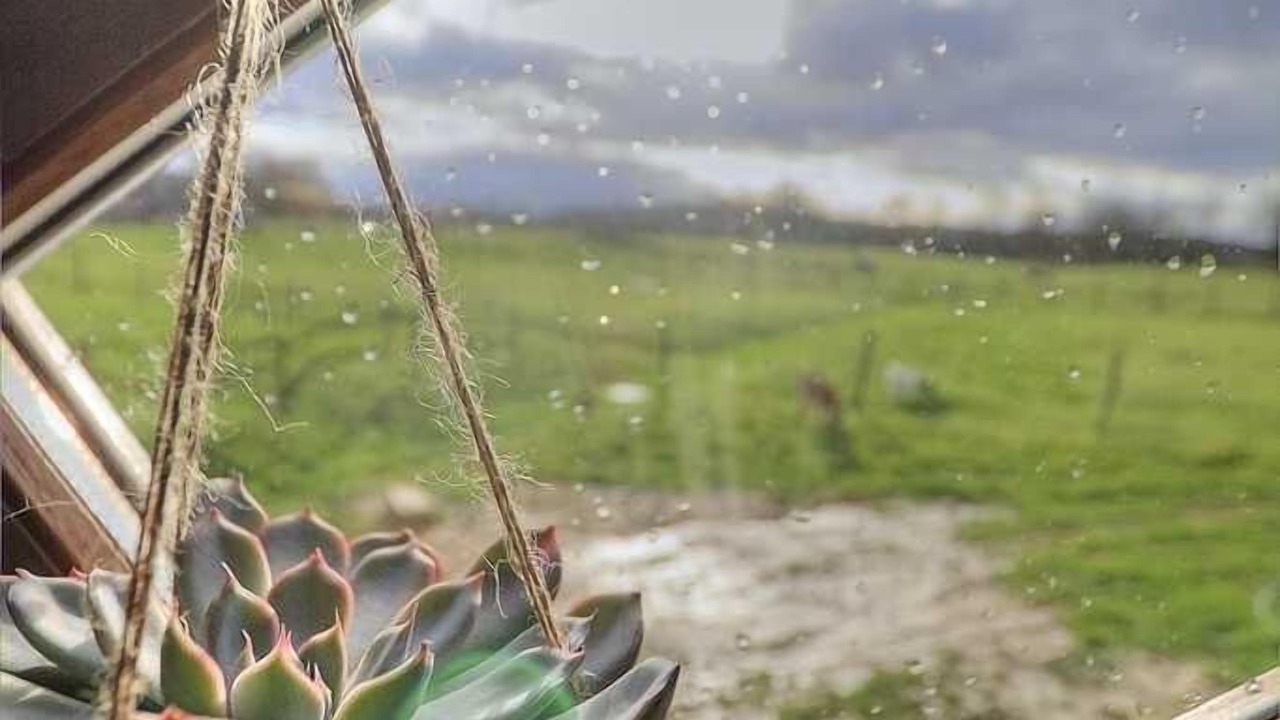 Photo of Others in Beny