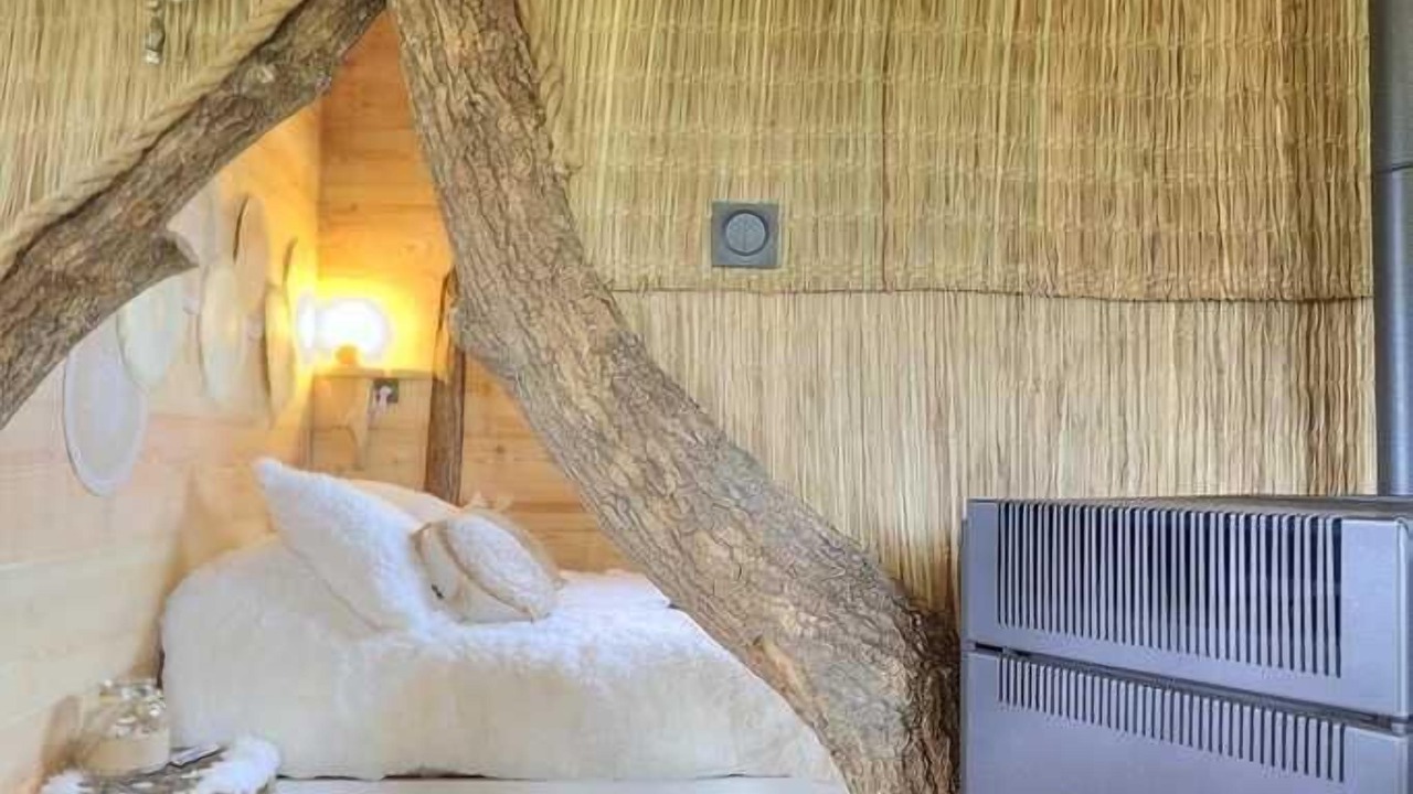 Photo of Others in Beny