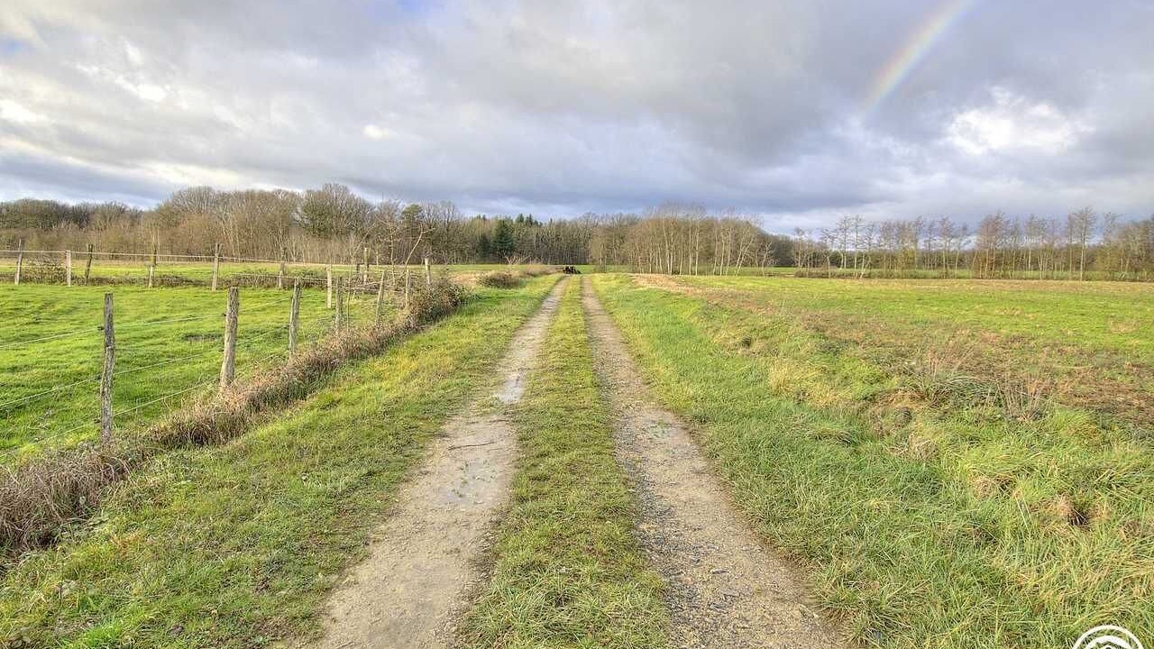 Photo of Others in Beny