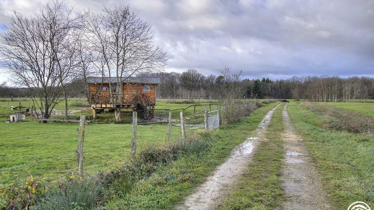 Photo of Others in Beny