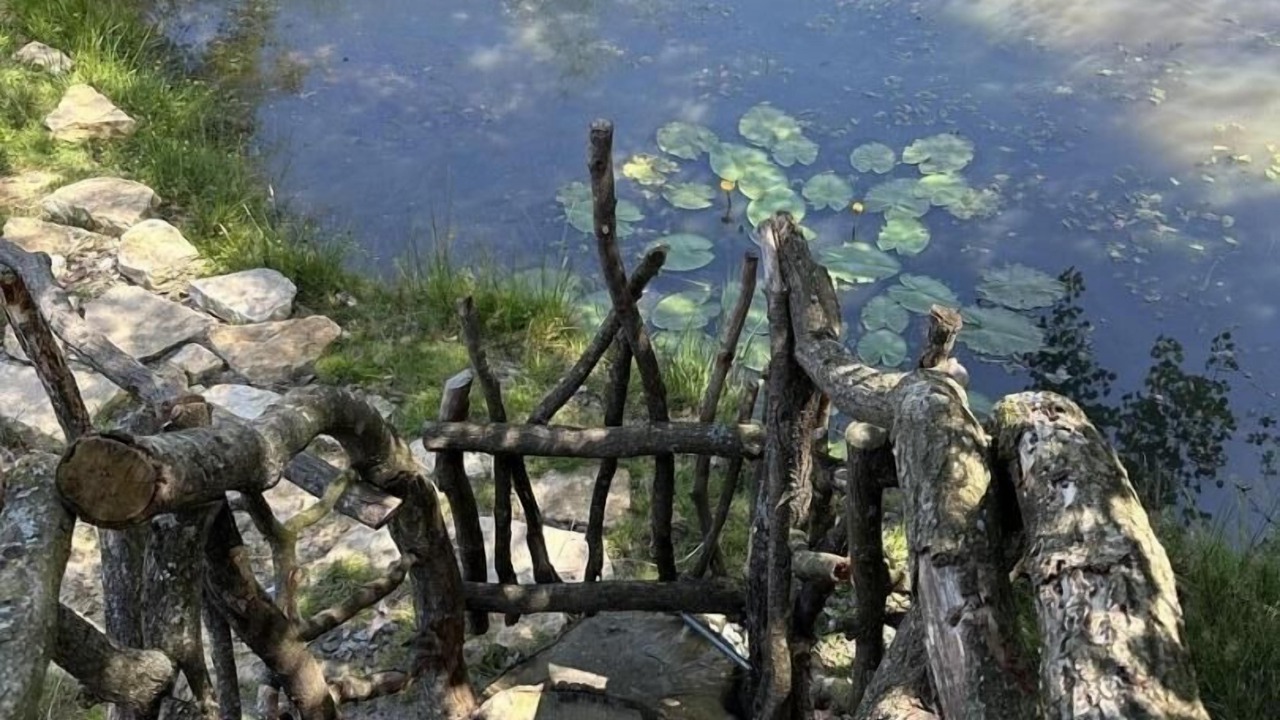 Photo of Others in Beny