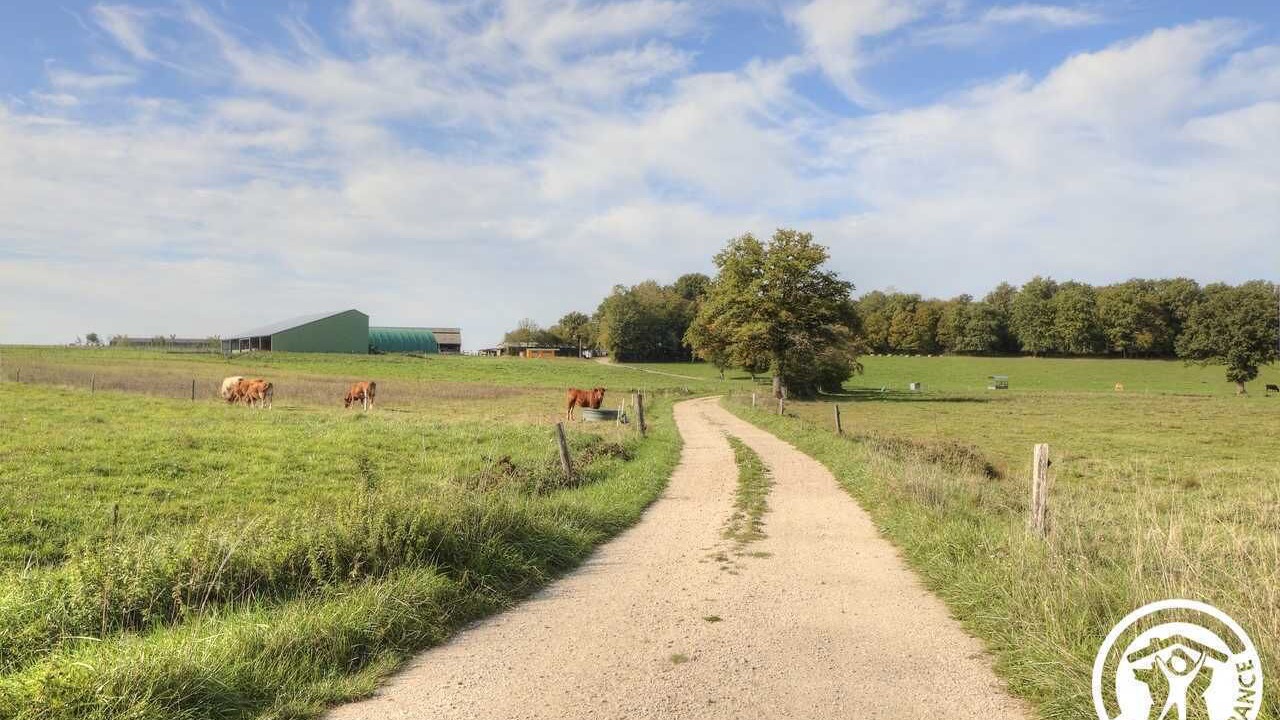 Photo of Outdoor in Druillat