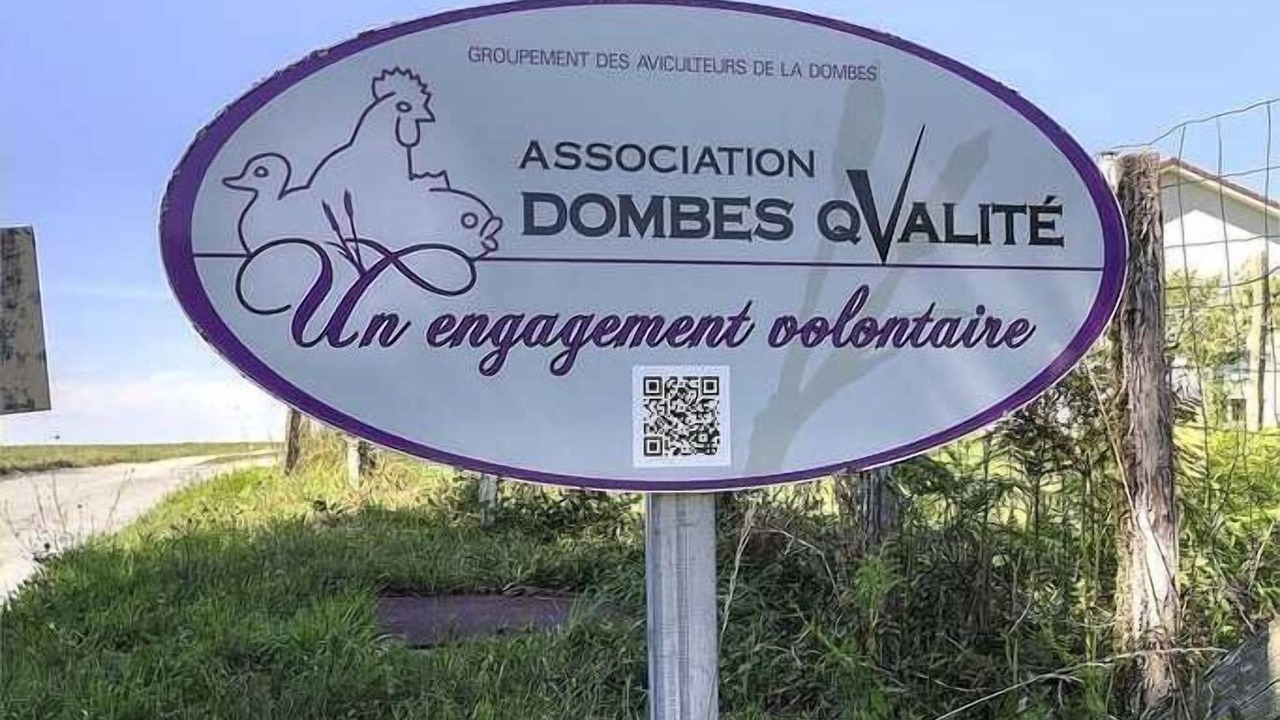 Photo of Outdoor in Druillat