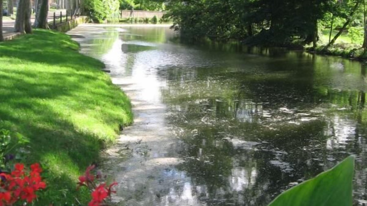 Photo of Outdoor in Vonnas