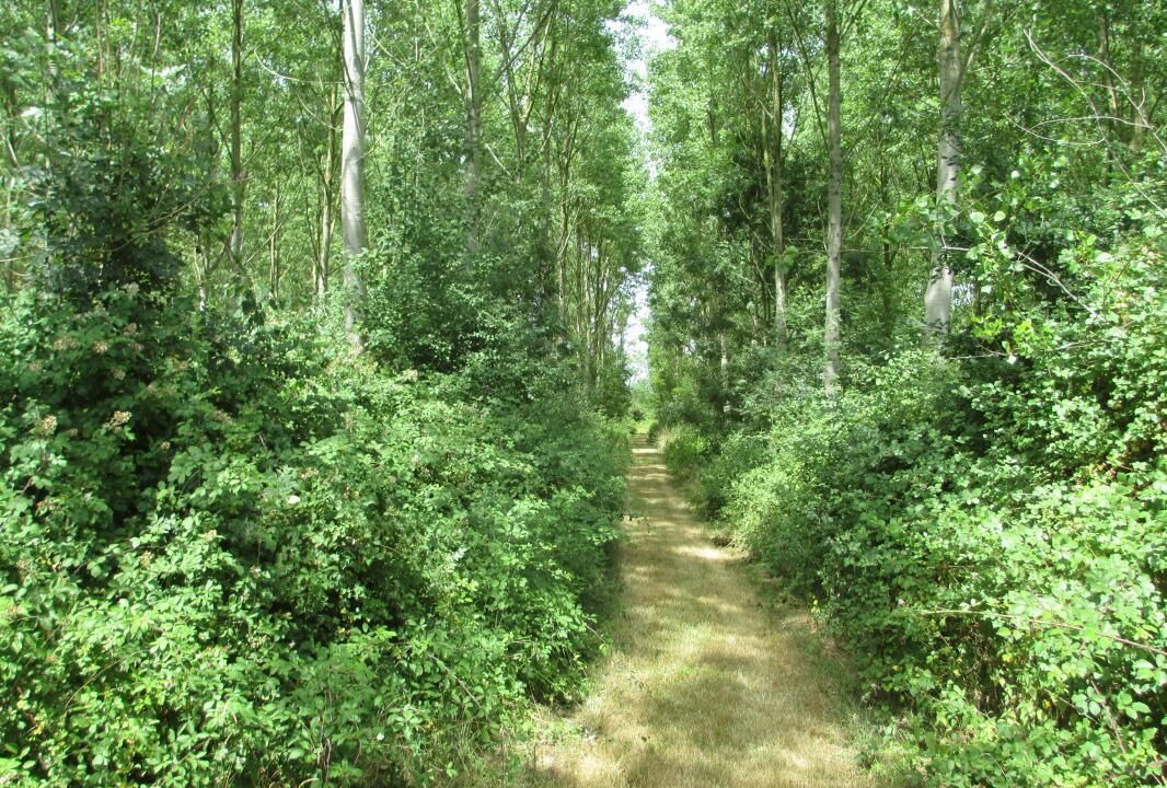 Photo of Outdoor in Vonnas