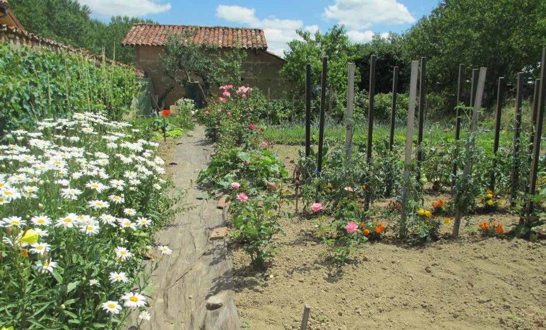 Photo of Outdoor in Vonnas