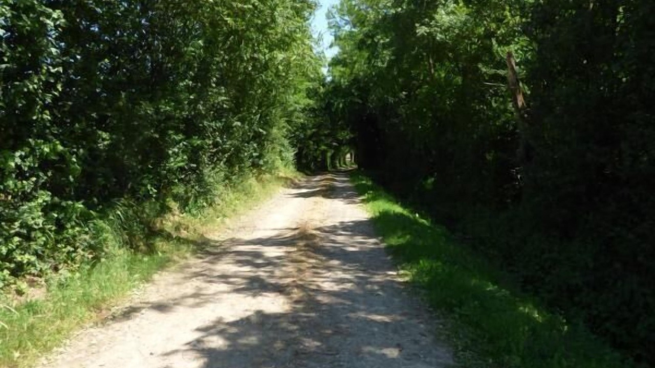 Photo of Outdoor in Vonnas