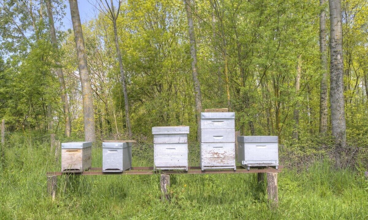 Photo of Outdoor in Vonnas