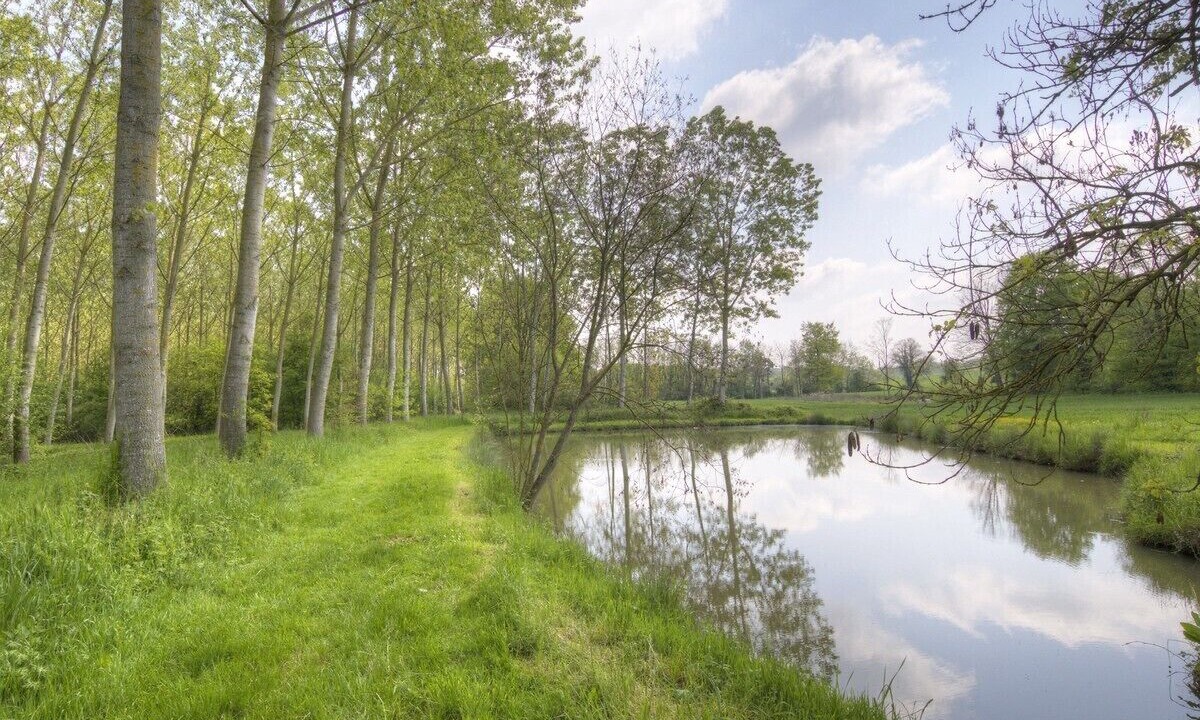 Photo of Outdoor in Vonnas