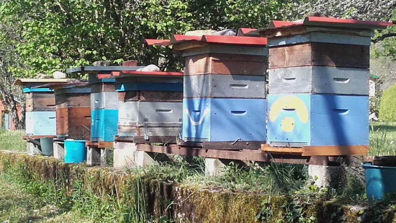 Photo of Others in Tenay