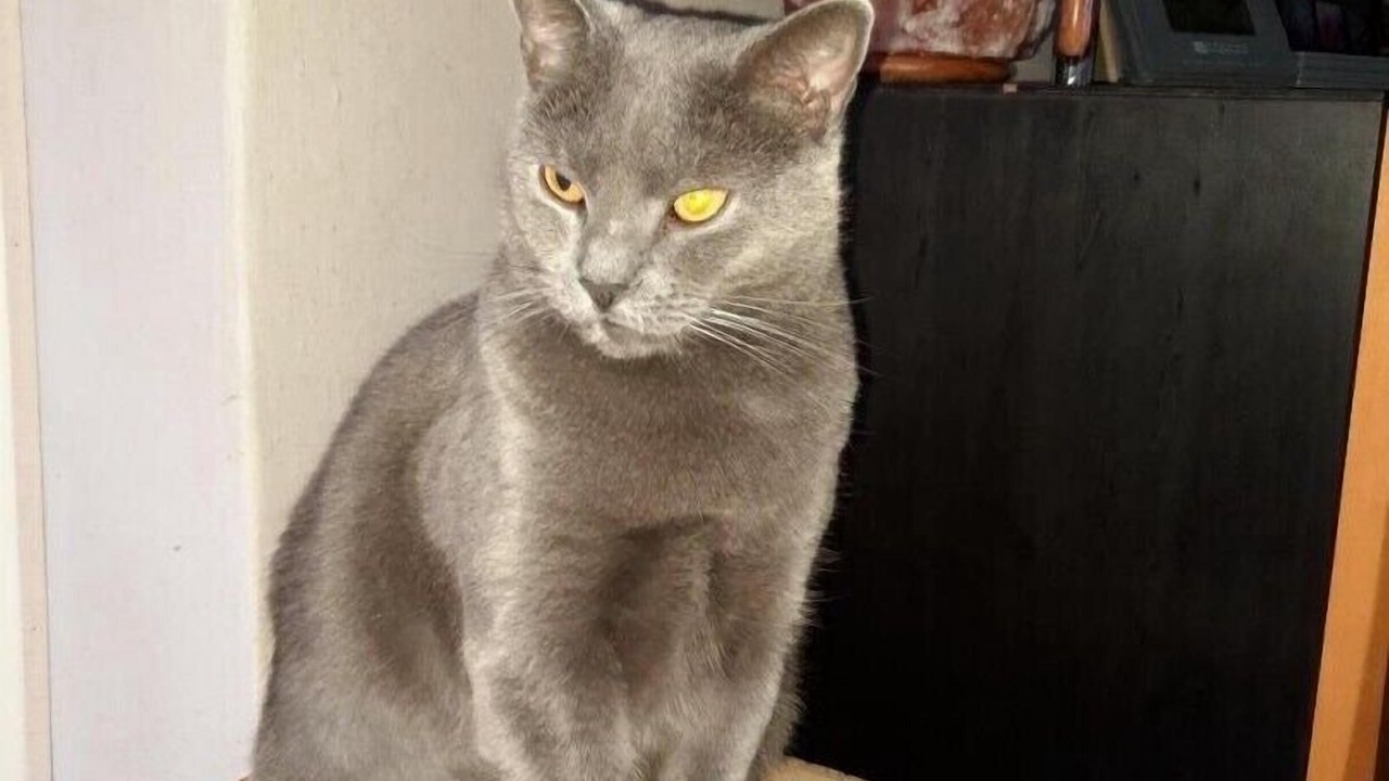 Photo of Others in Arboys-en-Bugey