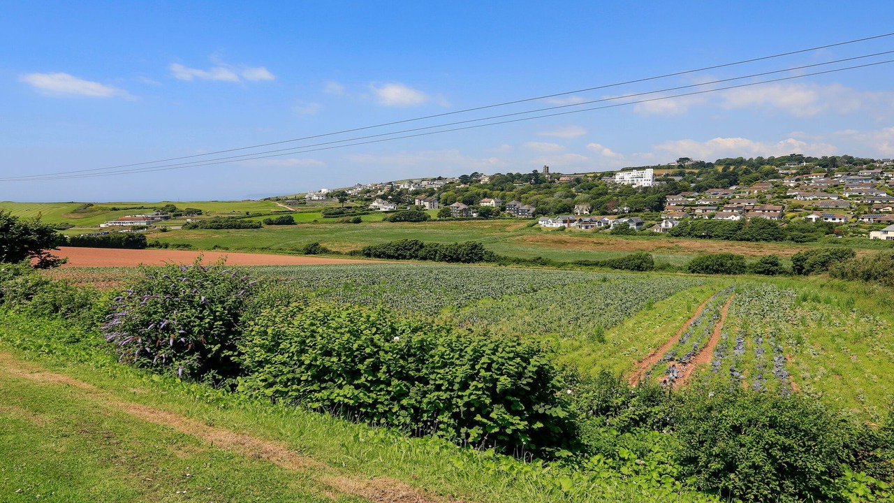 Photo of Others in Thurlestone