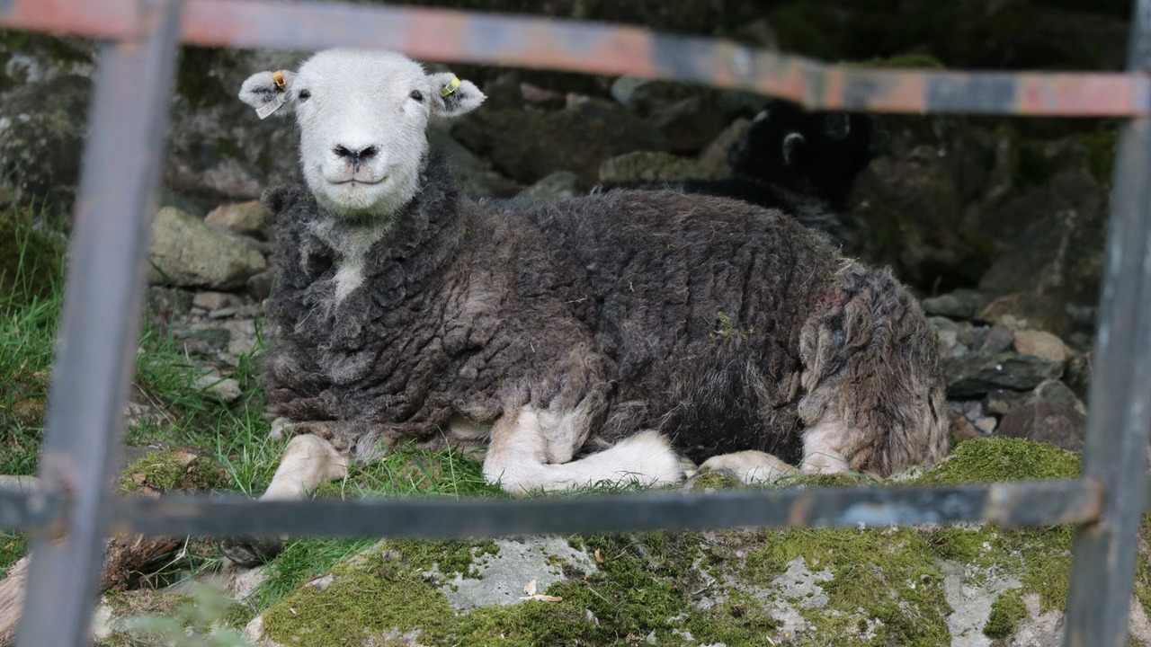 Photo of Outdoor in Newby Bridge