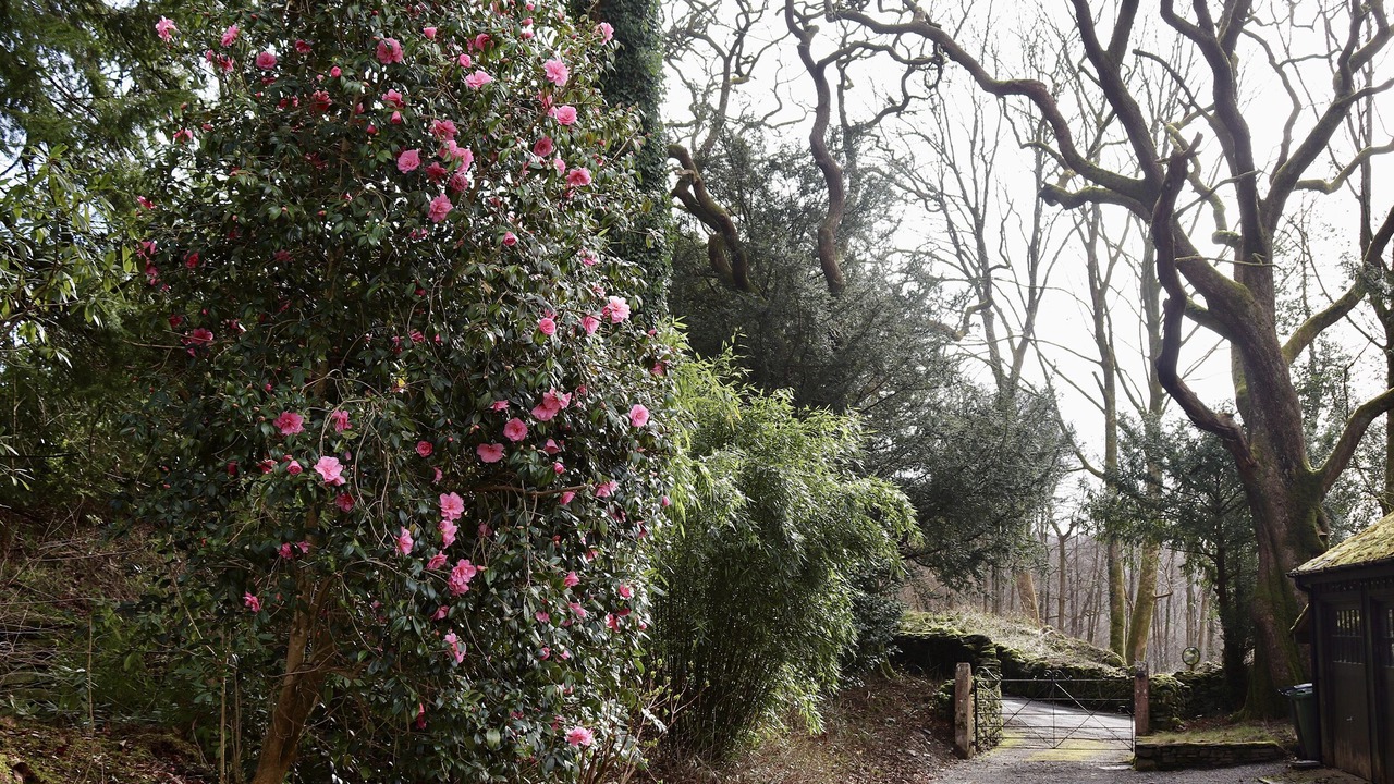 Photo of Outdoor in Newby Bridge