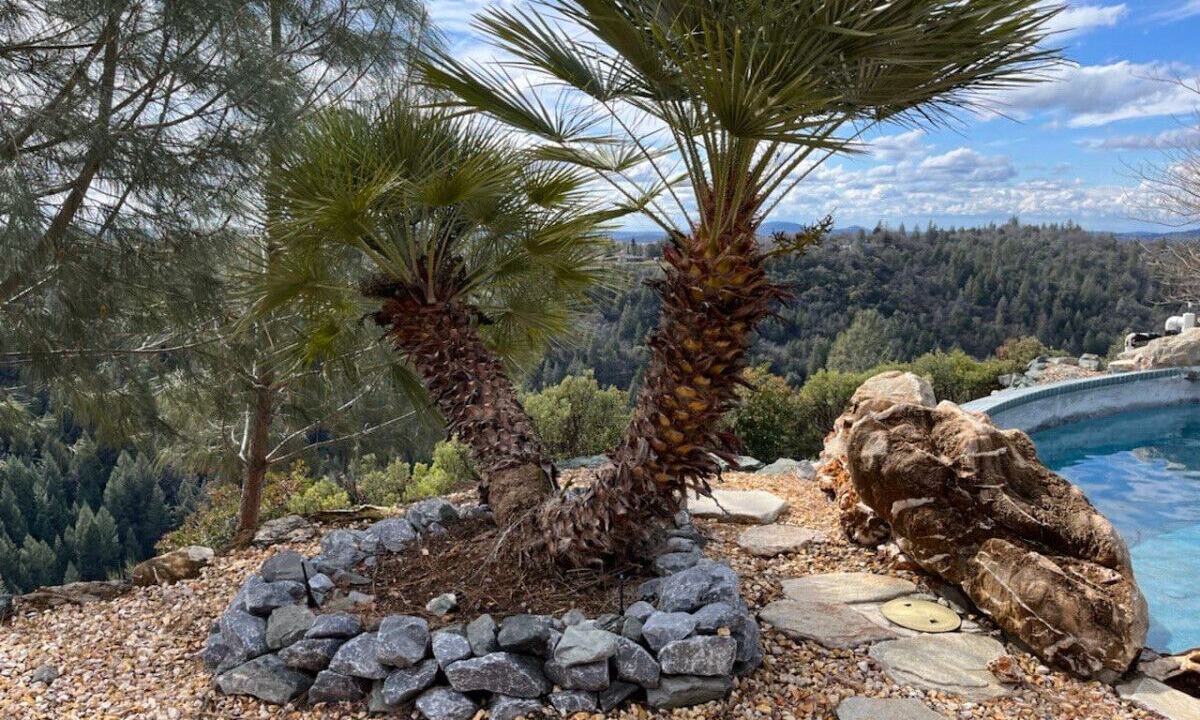 Photo of Outdoor in Placerville
