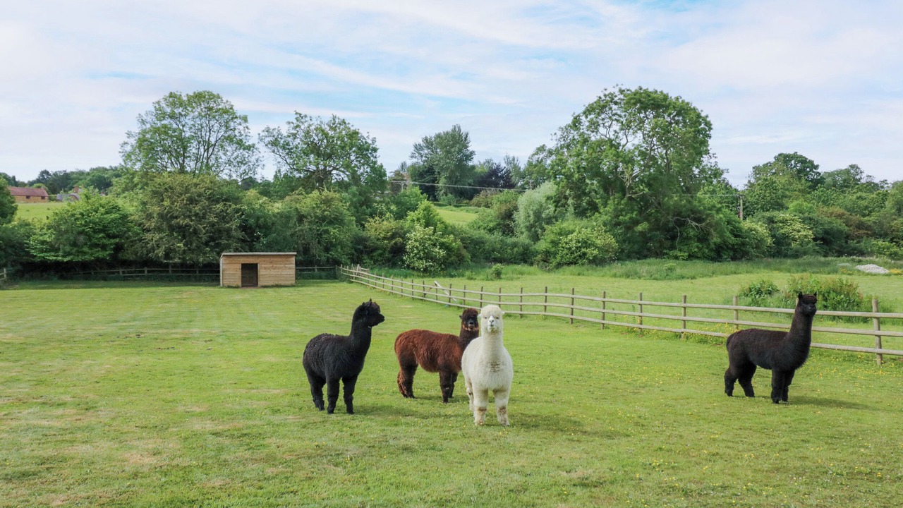 Photo of Others in Middleton Cheney
