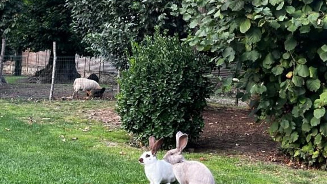 Photo of Outdoor in La Fleche