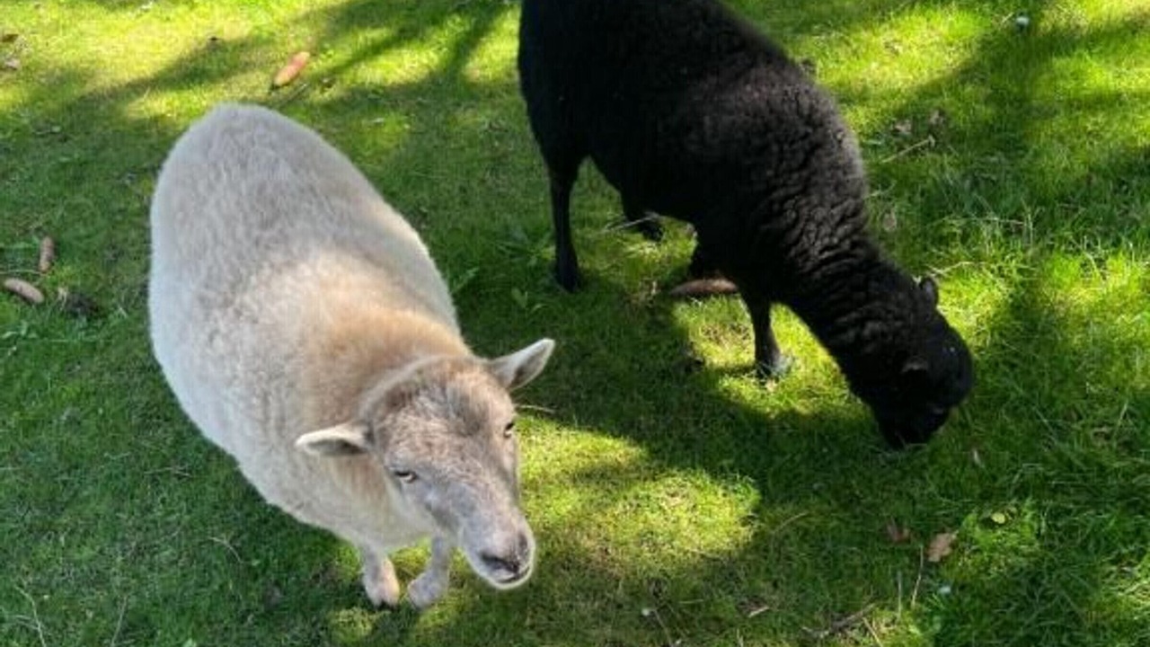 Photo of Outdoor in La Fleche