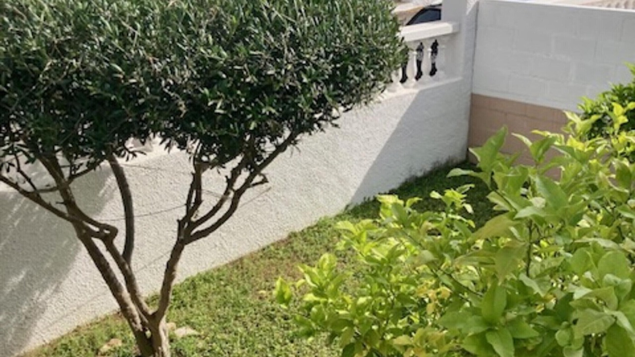 Photo of Outdoor in El Casalot