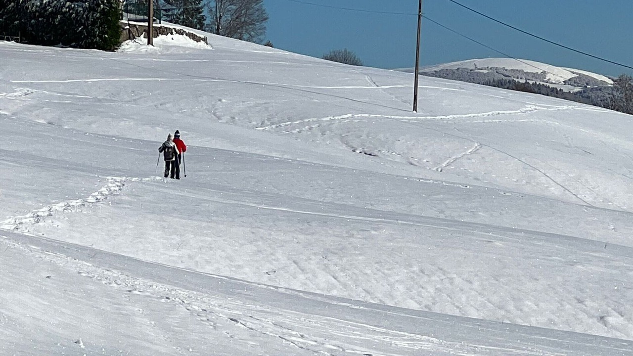 Photo of Others in Basse-sur-le-Rupt