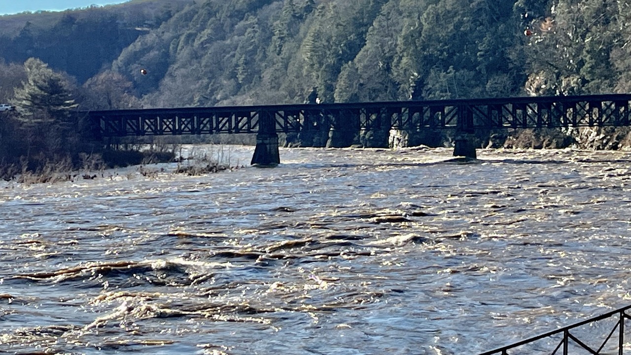 Photo of Others in Millrift