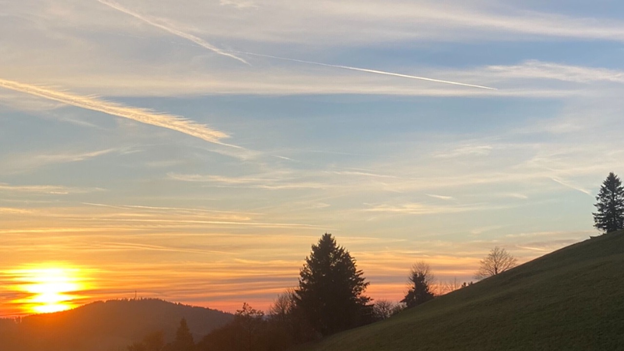 Photo of Others in Basse-sur-le-Rupt