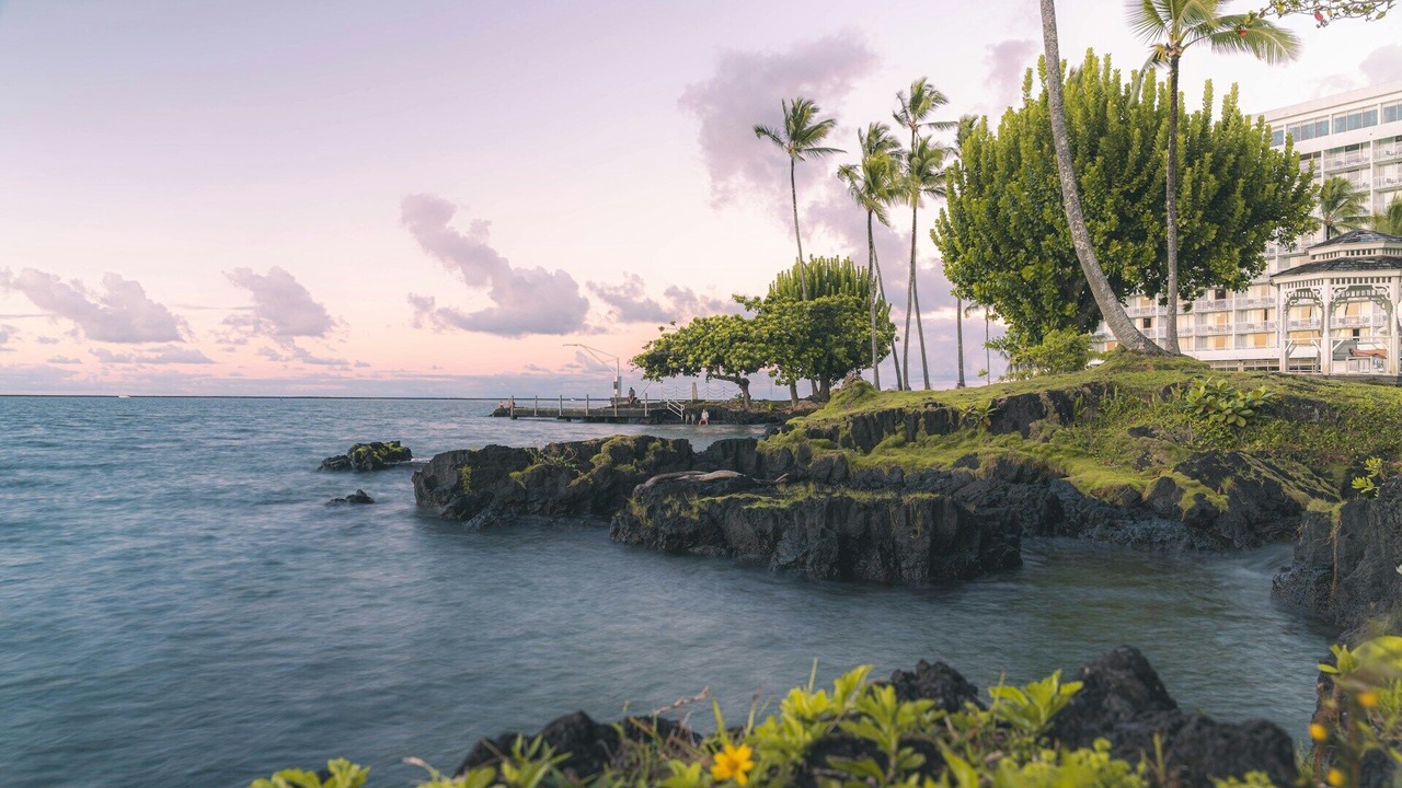 Photo of Others in Brisbane