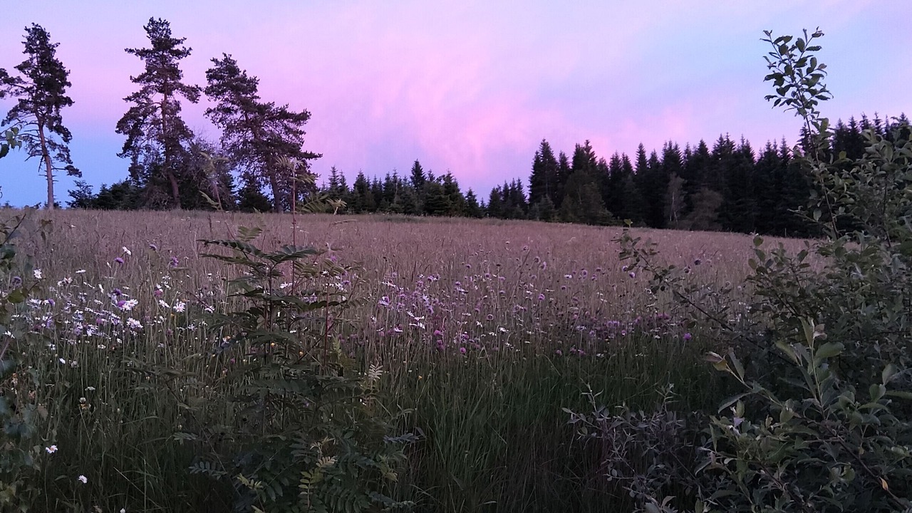 Photo of Outdoor in Sembadel