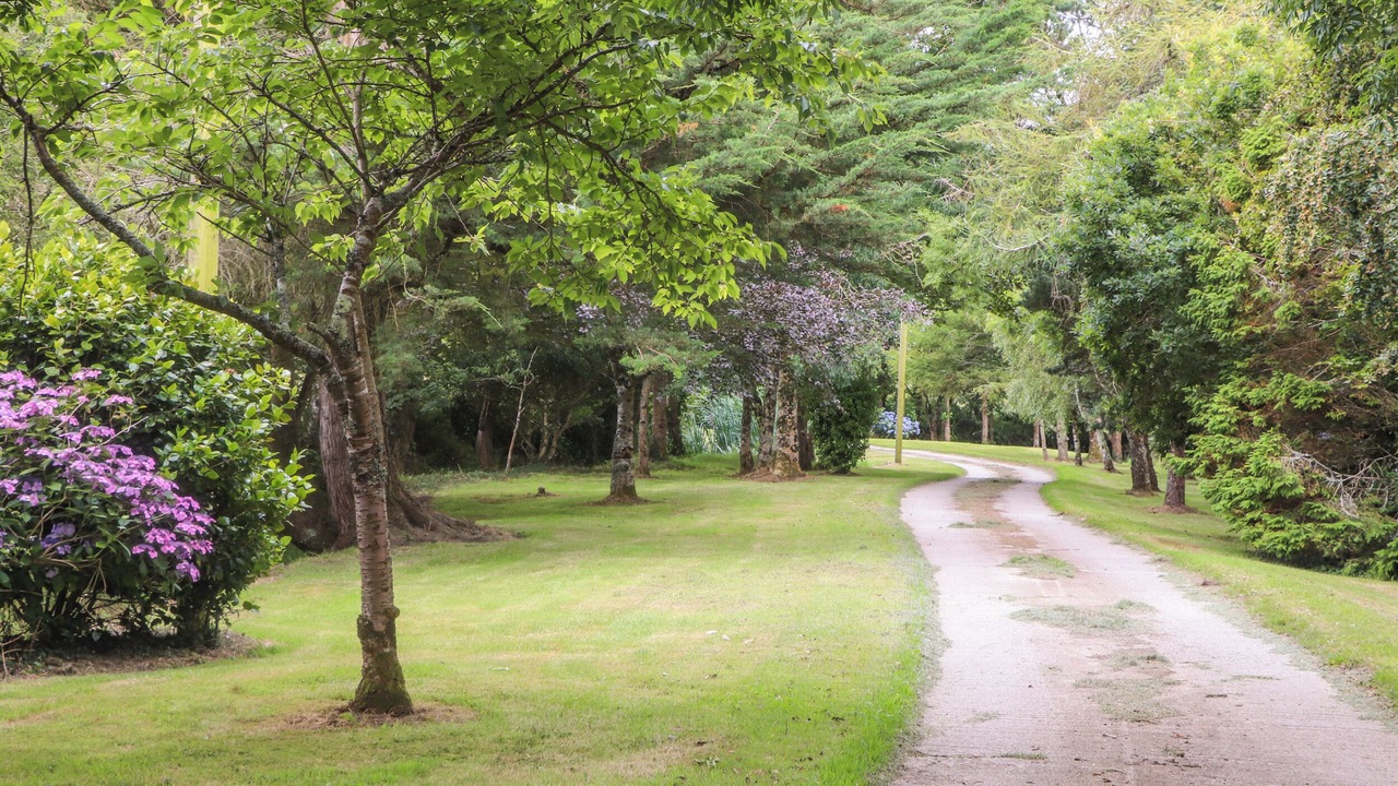 Photo of Others in St Erth Praze