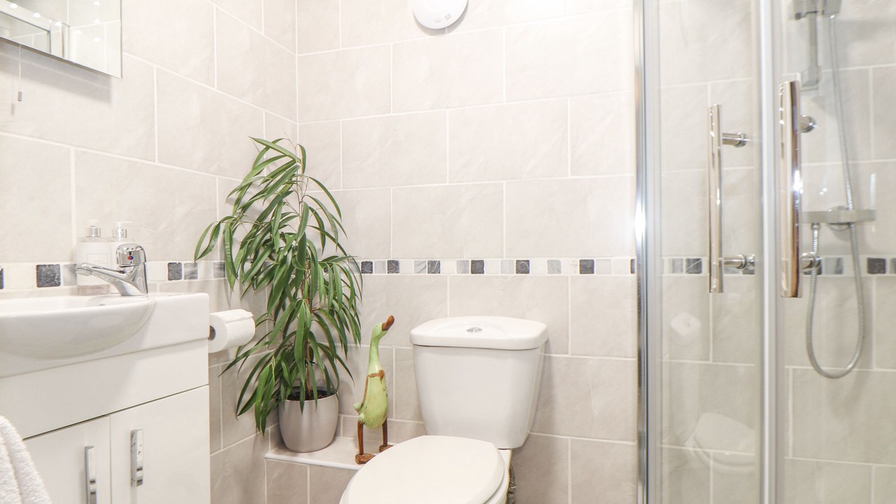 Photo of Others in St Erth Praze