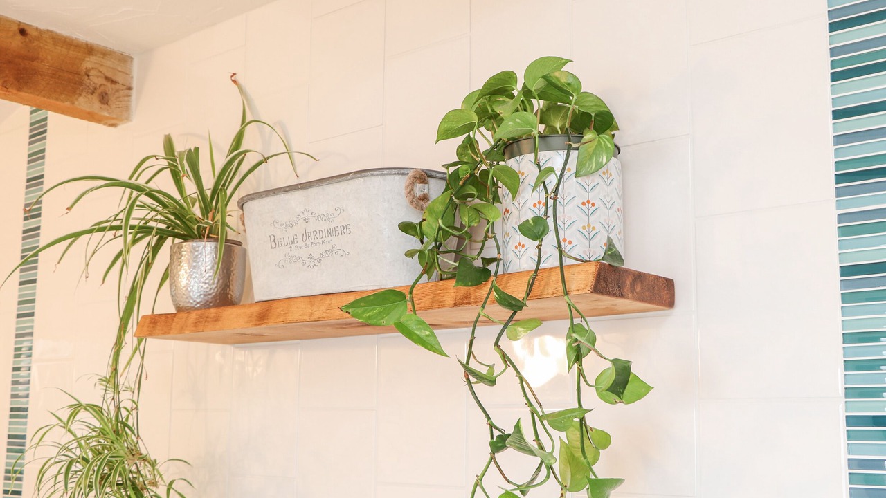 Photo of Others in St Erth Praze