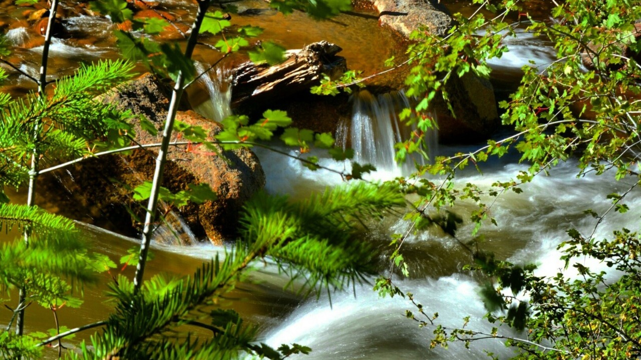 Photo of Outdoor in Estes Park