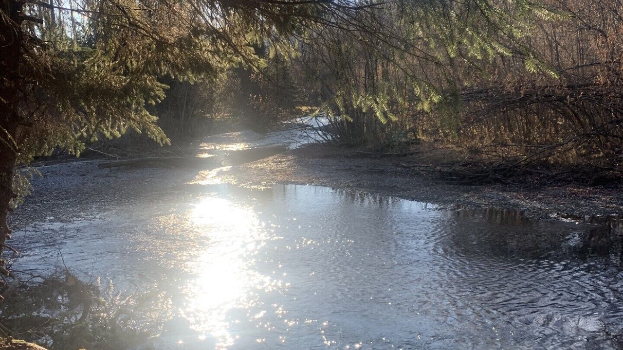 Photo of Outdoor in Bear Creek