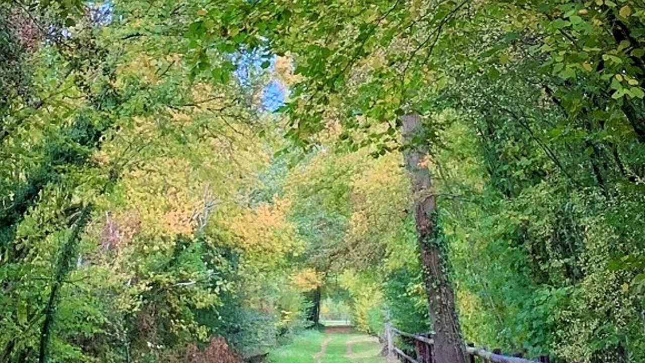 Photo of Outdoor in Mardilly