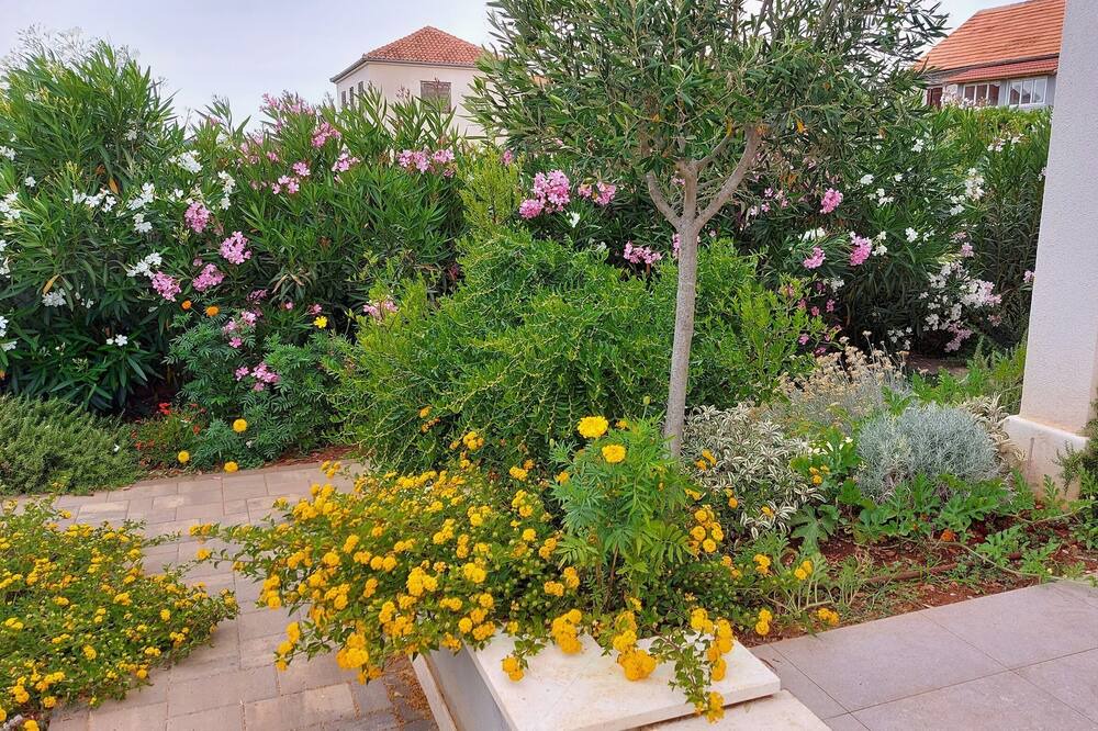 Photo of Outdoor in Grohote