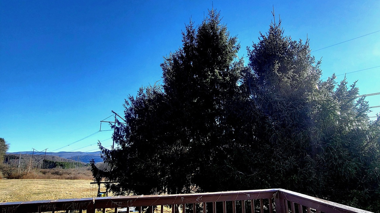 Photo of Outdoor in Livingston Manor