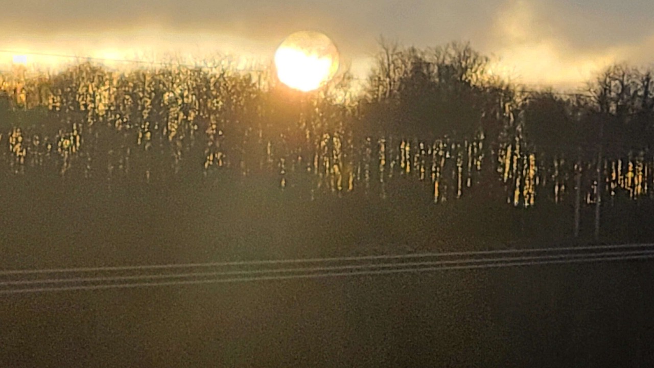 Photo of Others in Livingston Manor