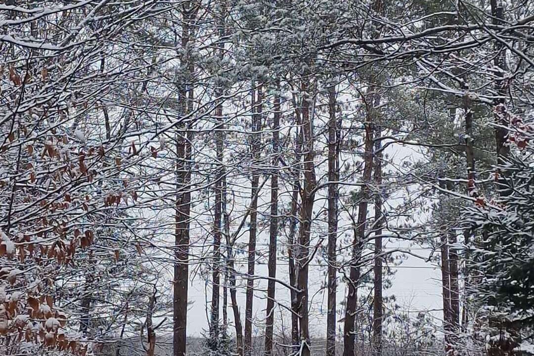 Photo of Outdoor in Livingston Manor