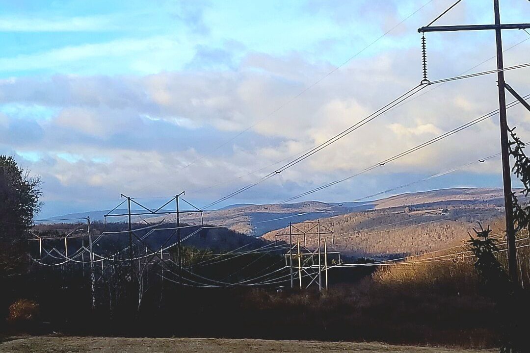 Photo of Others in Livingston Manor