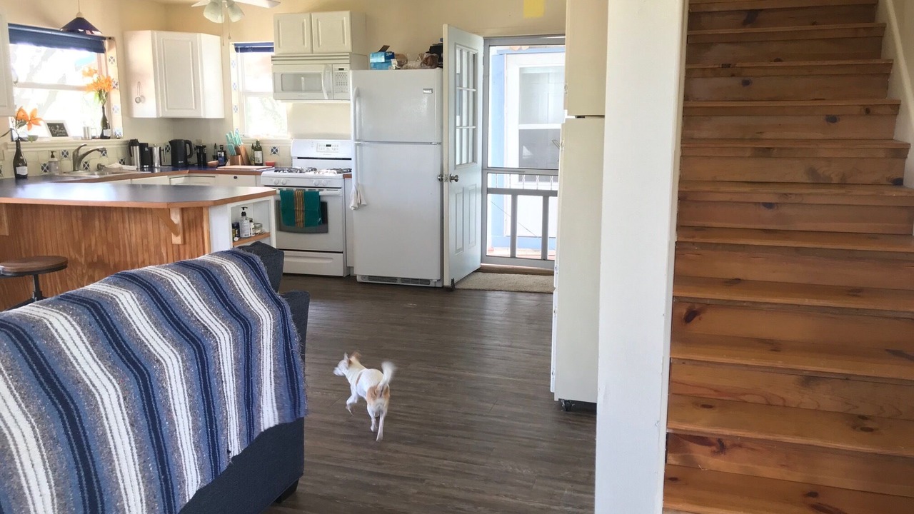 Photo of Kitchen in Lometa