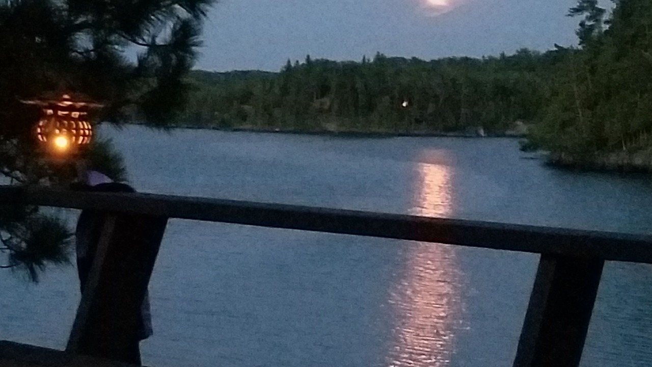 Photo of Others in Sioux Narrows Nestor Falls