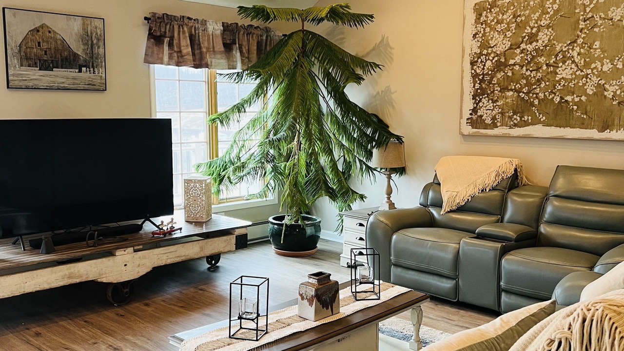 Photo of Livingroom in Dushore