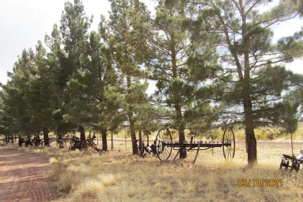 Photo of Outdoor in Cane Beds