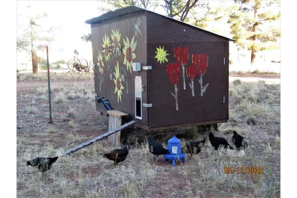 Photo of Others in Cane Beds