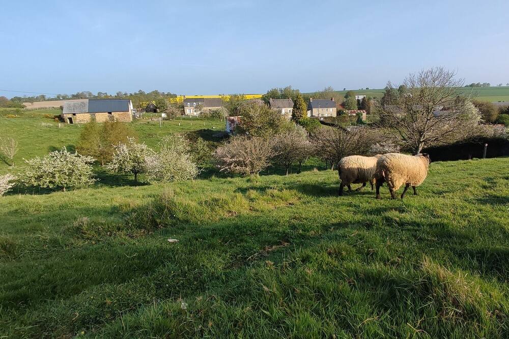 Photo of Others in Moncy