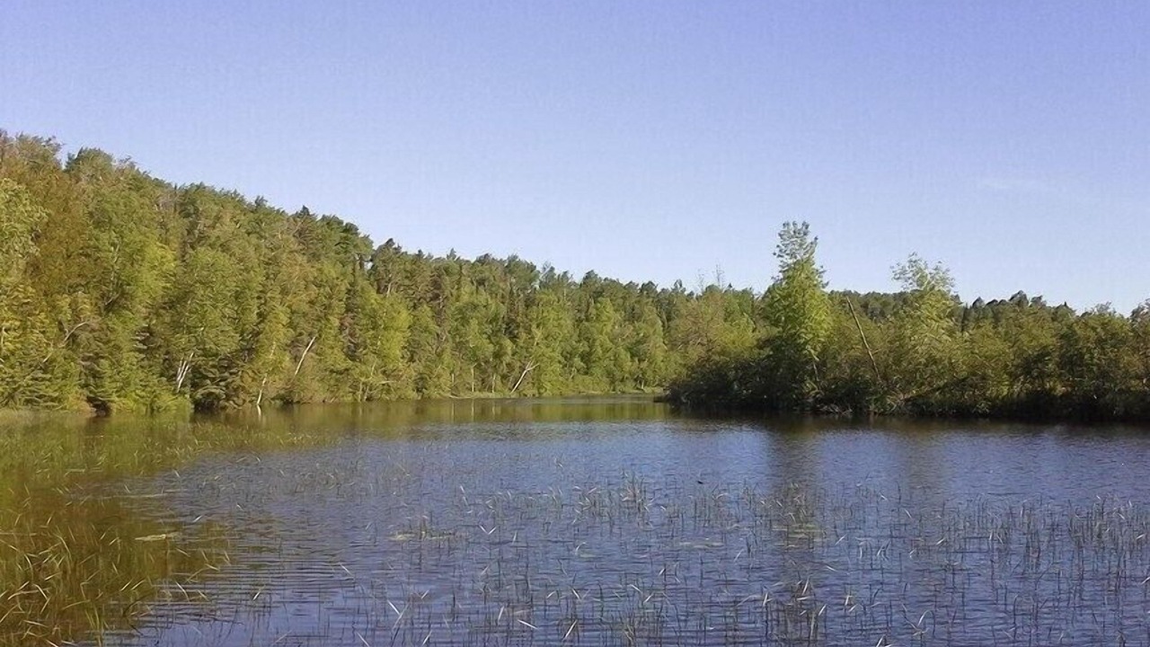 Photo of Outdoor in South Range