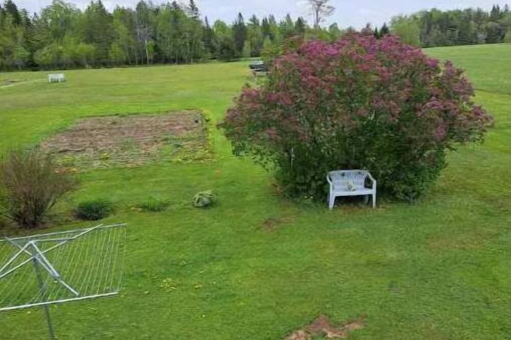 Photo of Outdoor in Penobscot County